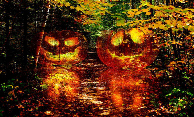 Halloween Scary Wood 1 - Stock Photo