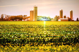 Modern Farmland and Agriculture Real Estate - Stock Photo