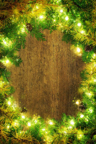 Vertical Pine and Lights Frame 2